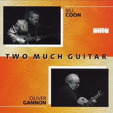 Two Much Guitar