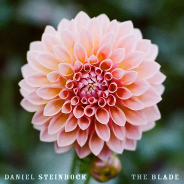 The Blade by Daniel Steinbock - album cover