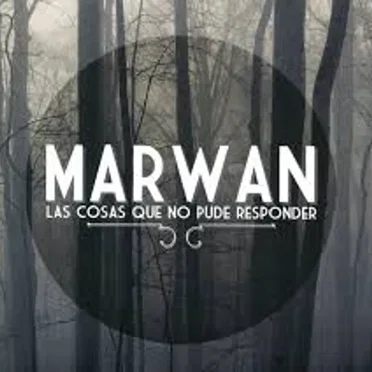 Las cosas que no pude responder