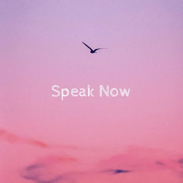 Speak Now