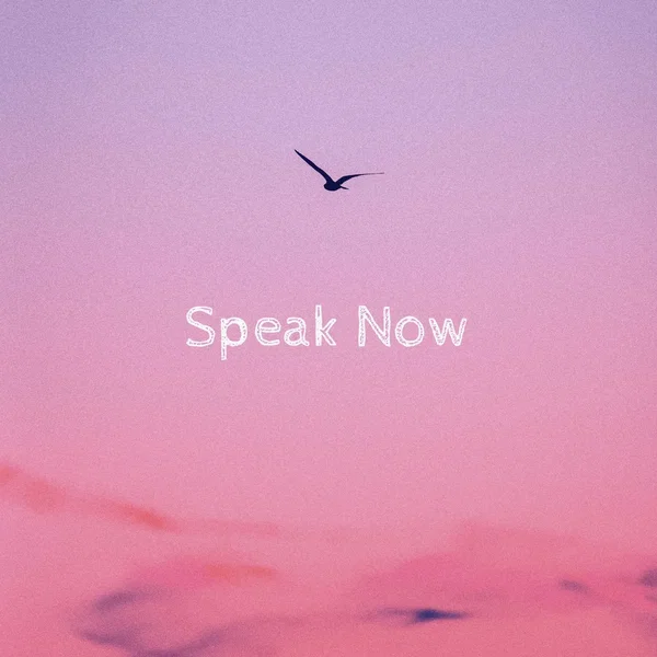 Speak Now
