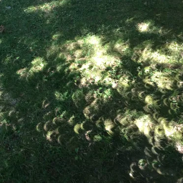 Eclipse