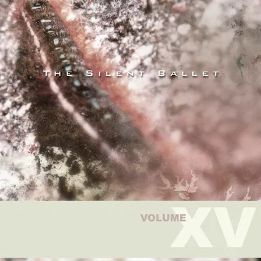 The Silent Ballet, Volume XV: समय किसी की प्रतीक्षा नही करता by Various Artists - album cover