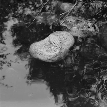 Lähteet by Suruni - album cover