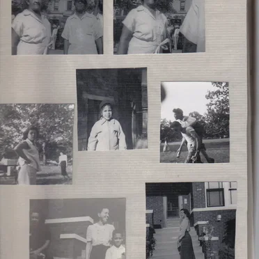 Coin Coin Happening: Fields of Memphis