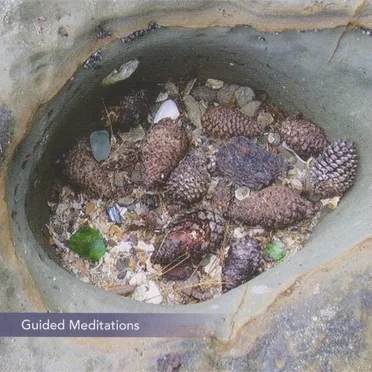Guided Meditations by Josephine Fisher - album cover