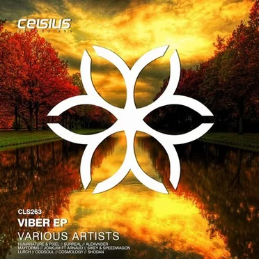 Viber EP by Various Artists - album cover
