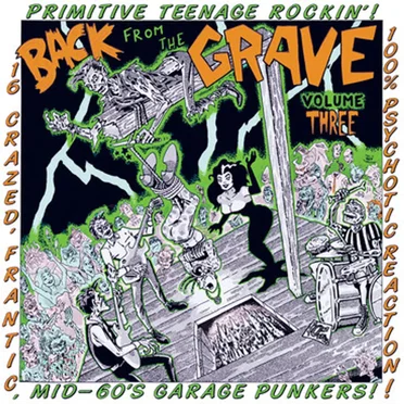 Back From the Grave, Volume 3 by Various Artists - album cover