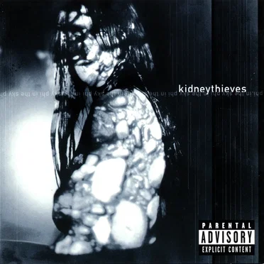 Phi in the Sky by Kidneythieves - album cover