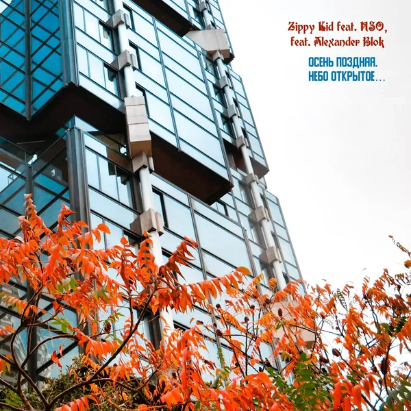 Осень Поздняя. Небо Открытое…