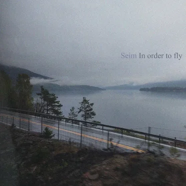 In order to fly