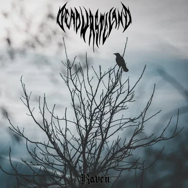 Raven by Dead Wasteland - album cover