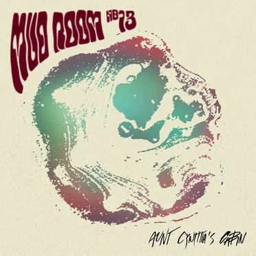 Mud Room No13 by Aunt Cynthia's Cabin - album cover