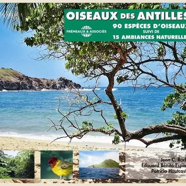 Oiseaux des Antilles