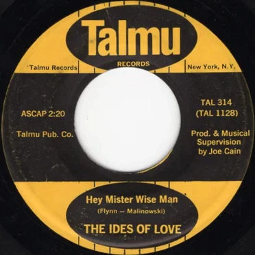 Hey Mister Wise Man / Something So Pretty by The Ides Of Love - album cover