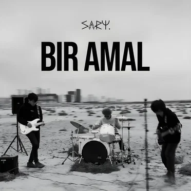 Bir amal by sary - album cover