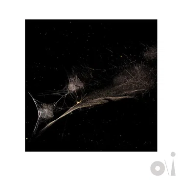 Put the Bucket Down (Work in Progress version)