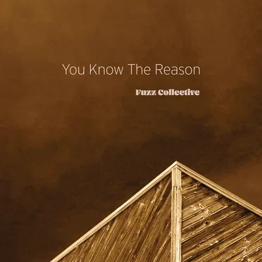 You Know the Reason by Fuzz Collective - album cover
