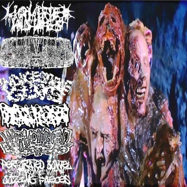 Liquified Insides / Butyric Fermentation Abuse / Indigestible Guts / Hydrocephalus / Wormclogged Blisters / Perforated Bowel Syndrome