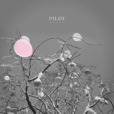 Pilot