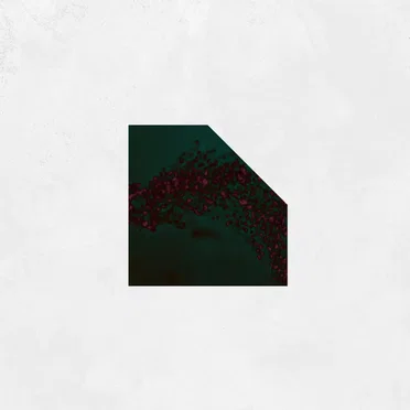 Veneno by Dario Molina - album cover