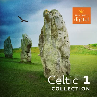 Celtic Collection 1 by Various Artists - album cover