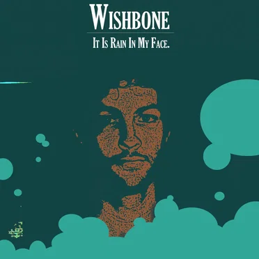 Wishbone by It is rain in my face. - album cover
