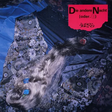 Die Andere Nacht (Oder G) by Ubazakura - album cover