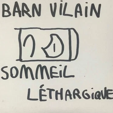 Sommeil Léthargique by Barn Vilain - album cover