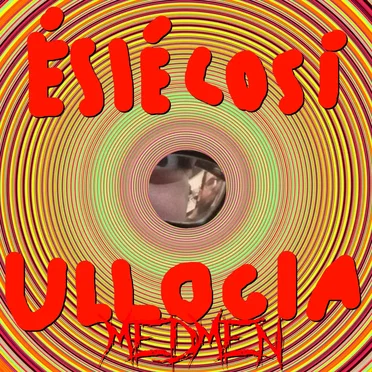 È sì, è così. by Unlogical Madmen - album cover