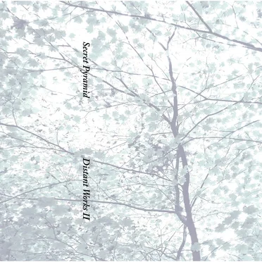Distant Works II