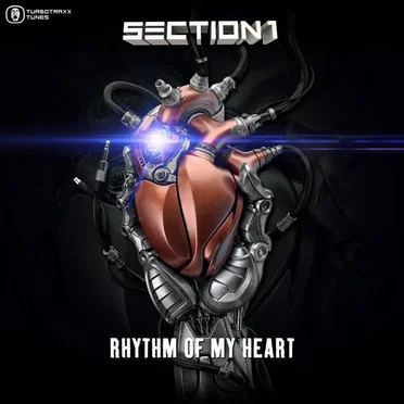 Rhythm of My Heart