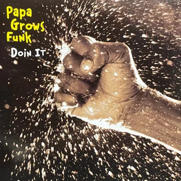 Doin It by Papa Grows Funk - album cover