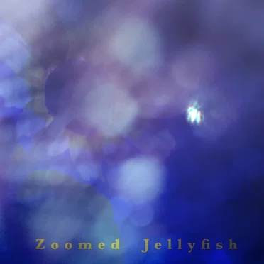 Zoomed Jellyfish