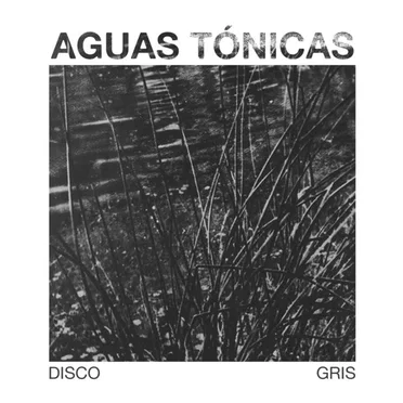 Disco gris