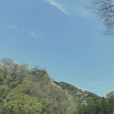 Hayama Ambient 032