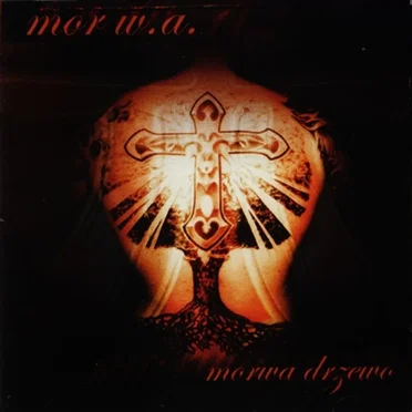 Morwa drzewo