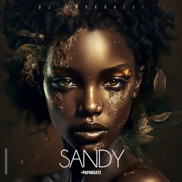 Sandy by DJ Paparazzi - album cover