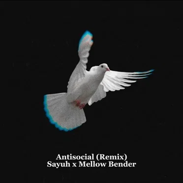 Antisocial (Sayuh x Mellow Bender remix) by Sayuh - album cover