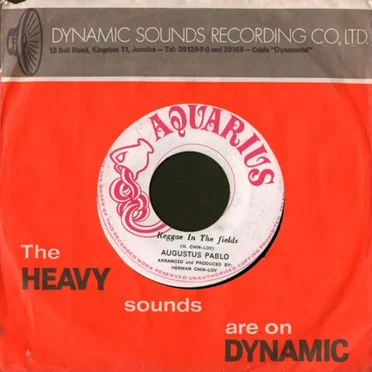 Reggae In The Fields