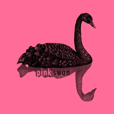 The Case of the Pink Swan by Pink Swan - album cover