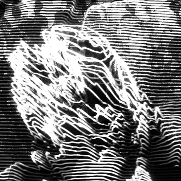 I WILL SEE YOU WHEN I SEE YOU. by Noex Beats - album cover