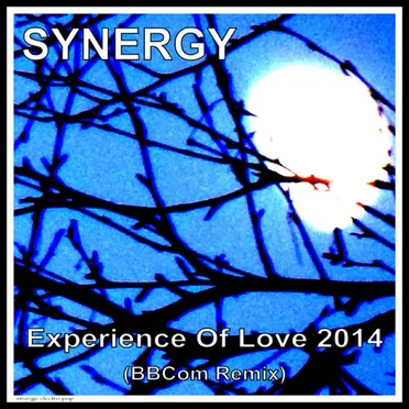 Experience of Love 2014 (Blinky Blinky Computerband remix) by Synergy - album cover