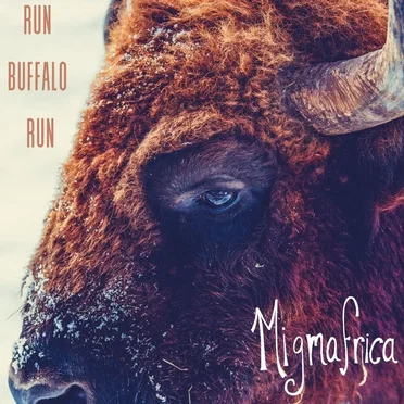 Run Buffalo Run by Mi'gmafrica - album cover