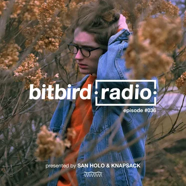 San Holo Presents: bitbird Radio #036