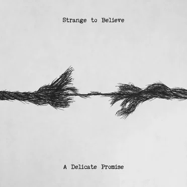 A Delicate Promise