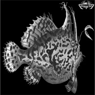 Strange Fish One