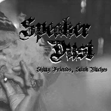 Shitty Friends, Stink Bitches by Speaker Dust - album cover