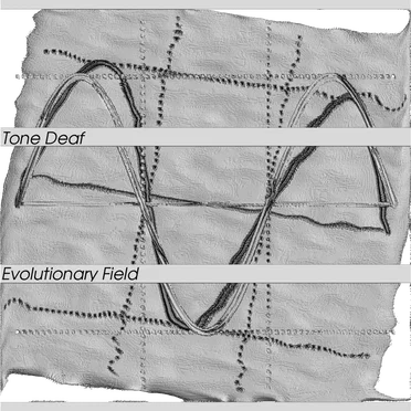 Evolutionary Field