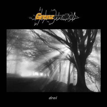 Grenzwellen Drei by Various Artists - album cover